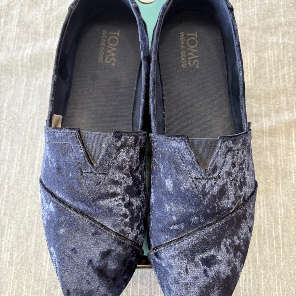 Navy Blue Velvet TOMS Alpargata